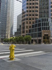 this is an empty city street with a yellow fire hydrant in the foreground