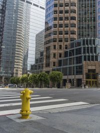 this is an empty city street with a yellow fire hydrant in the foreground