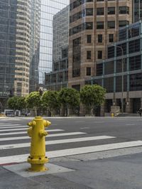 this is an empty city street with a yellow fire hydrant in the foreground