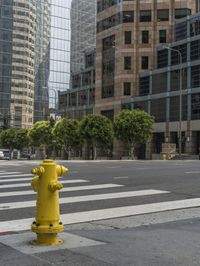 this is an empty city street with a yellow fire hydrant in the foreground