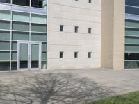 an empty area with grass, bushes, and a tree in front of a large building