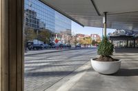 a planter filled with trees on a sidewalk in a city area next to a building