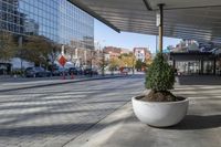 a planter filled with trees on a sidewalk in a city area next to a building