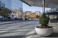 a planter filled with trees on a sidewalk in a city area next to a building