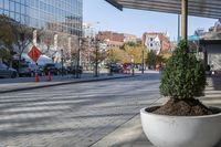 a planter filled with trees on a sidewalk in a city area next to a building