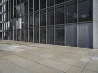 a sidewalk with two white fire hydrants outside of a building with windows in it