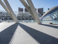 there is a very modern building that sits next to the water and a big city