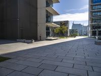 an empty stone walkway with large buildings on the sides in the background and sun beaming through the window