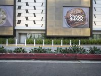 an area with a few parking meters of plants on it and two ads in the background