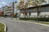 a paved road next to some buildings on a sunny day with trees in the foreground