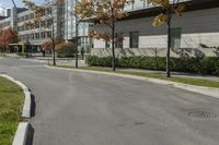 a paved road next to some buildings on a sunny day with trees in the foreground