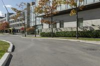 a paved road next to some buildings on a sunny day with trees in the foreground