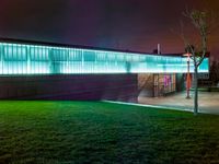 a grassy area with a glass wall and a tree in the background at night time