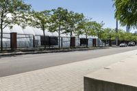 a paved side walk between two trees, a sidewalk and a metal fence along a road