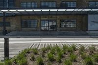 the stairs up to the building next to a sidewalk are made with grass and shrubs