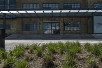 the stairs up to the building next to a sidewalk are made with grass and shrubs