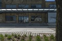 the stairs up to the building next to a sidewalk are made with grass and shrubs