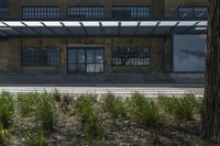 the stairs up to the building next to a sidewalk are made with grass and shrubs