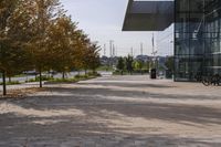 the sidewalk is made from brick and trees are in front of a glass walled building