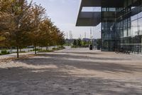 the sidewalk is made from brick and trees are in front of a glass walled building