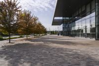 the sidewalk is made from brick and trees are in front of a glass walled building