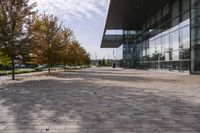 the sidewalk is made from brick and trees are in front of a glass walled building