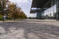 the sidewalk is made from brick and trees are in front of a glass walled building