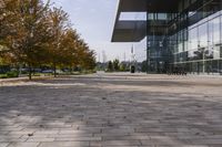 the sidewalk is made from brick and trees are in front of a glass walled building