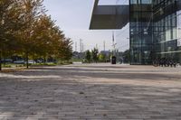 the sidewalk is made from brick and trees are in front of a glass walled building