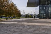 the sidewalk is made from brick and trees are in front of a glass walled building