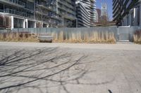 a empty park bench in front of tall buildings with tall grass in the background and an empty sidewalk behind