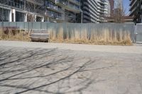 a empty park bench in front of tall buildings with tall grass in the background and an empty sidewalk behind