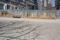 a empty park bench in front of tall buildings with tall grass in the background and an empty sidewalk behind