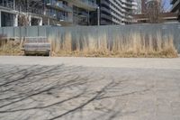 a empty park bench in front of tall buildings with tall grass in the background and an empty sidewalk behind