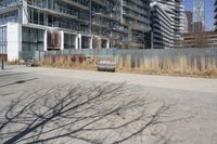 a empty park bench in front of tall buildings with tall grass in the background and an empty sidewalk behind