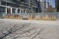 a empty park bench in front of tall buildings with tall grass in the background and an empty sidewalk behind