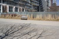 a empty park bench in front of tall buildings with tall grass in the background and an empty sidewalk behind