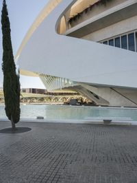 there are trees outside on the sidewalk in front of some buildings near water and a bridge