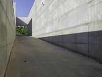 a narrow stone wall is in the middle of a walkway of concrete with grass on either side