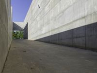 a narrow stone wall is in the middle of a walkway of concrete with grass on either side