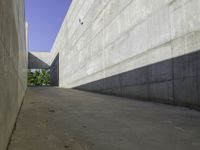 a narrow stone wall is in the middle of a walkway of concrete with grass on either side