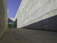 a narrow stone wall is in the middle of a walkway of concrete with grass on either side