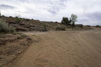 dirt road with trees and bushes on a cloudy day at an arid area with no vehicles