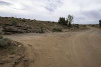 dirt road with trees and bushes on a cloudy day at an arid area with no vehicles