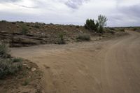 dirt road with trees and bushes on a cloudy day at an arid area with no vehicles