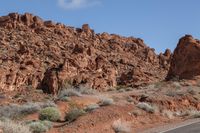 road lined with desert shrubs next to rock formations in arizona's desert landscape with trees