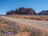 Arizona Landscape: Clear Sky Views of the USA