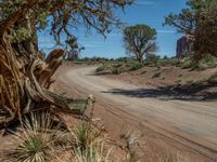 Arizona Landscape: Gravel and Dirt Roads Exploration