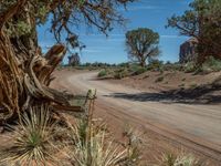 Arizona Landscape: Gravel and Dirt Roads Exploration