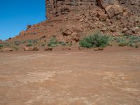 the rocks are brown and brown in color with green shrubs around them and a large, rocky mountain in the background